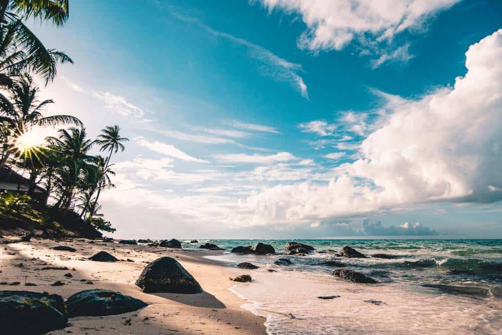 Tropical beach with palm trees and rocks at sunset.